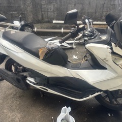 pcx150 125エンジン、125登録の画像