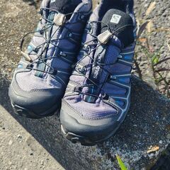 Salomon X Ultra 3 GTX グレー/ブルーの画像
