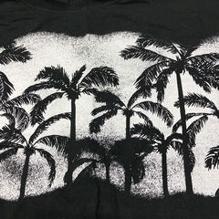 キッズTシャツの画像