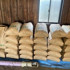 下野市美味しいお米コンクール優勝🥇新米の画像