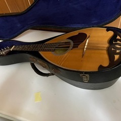 マンドリンの画像