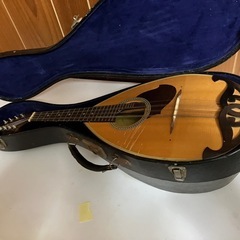 マンドリンの画像