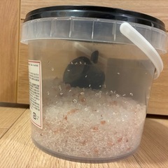 コストコ　エプソムソルトの画像