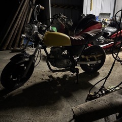 エイプ50の画像