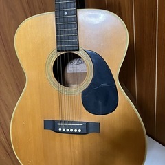 ARIAアコギの画像