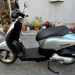 ホンダ トゥデイ AF67 FI 最終モデル オイル、バッテリー交換済み 傷、シート破れあり 不具合無し 調子良いよ！お引き取り可能な方の画像