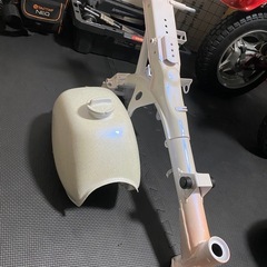 モンキーの画像