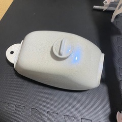 モンキーの画像