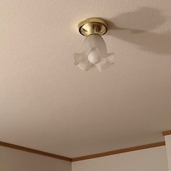 シーリングライト 傘 電球付 ウェーブ 照明の画像