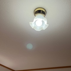 シーリングライト 傘 電球付 ウェーブ 照明の画像