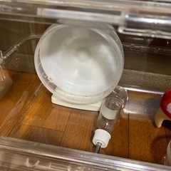 ハムスター飼育セットの画像