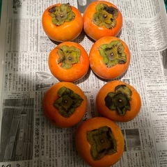 ⭐︎残り8個　和歌山県　九度山産　富有柿　7個の画像