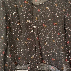 リリーブラウンブラウスの画像