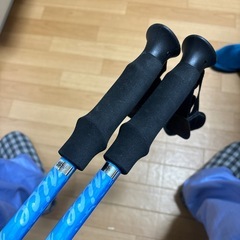 ハイキングポールの画像