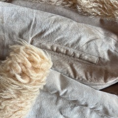 ムートンコート アンティークの画像