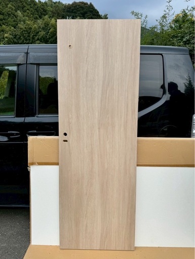 (12)日本フラッシュ　ドア