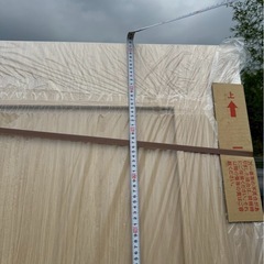 (10)日本フラッシュ　引き戸の画像