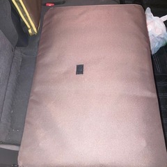 ペットキャリー　カインズの画像