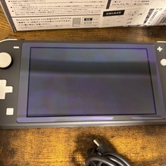 Switchライト本体、モンスターハンターライズの画像