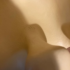 バンボ　こどもイス　ベビーチェアの画像