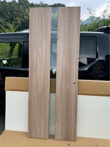 (8)日本フラッシュ　ガラス入りドア