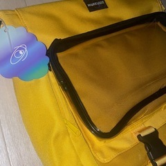 未使用バック(痛バック)の画像