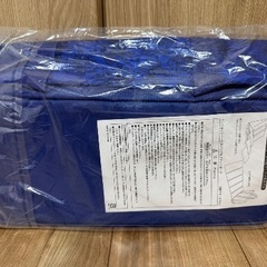 【非売品】【新品未開封】バケーションパッケージ　クッションシート付きバッグの画像