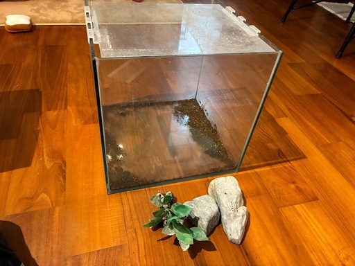 水槽セット