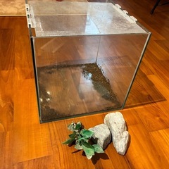 水槽セットの画像