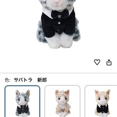 ベストエバージャパン　猫　ウエディングぬいぐるみの画像