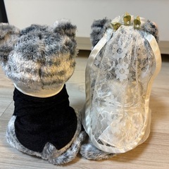 ベストエバージャパン　猫　ウエディングぬいぐるみの画像