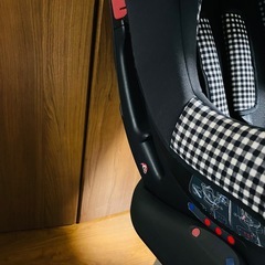 Joie チャイルドシート チルト キャノピー付（ギンガムチェック・ブラック）の画像