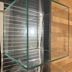 美品✨水槽2個ヒーターマットセット
の画像