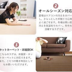 新品　(140x200cm·ペールピンク)　低反発ラグ 極厚25mm 抗菌・防ダニ加工の画像