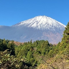 夫婦で仲良くしてくださる方