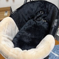 エアバギー ドーム3 レギュラー ブラック の画像