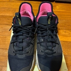 NIKE PG 3 サイズ28.5の画像