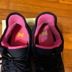 NIKE PG 3 サイズ28.5の画像