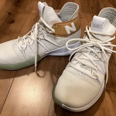 【激レア】New Balance OMN1S “Reign”　27cmの画像
