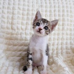 おっきいオメメがかわいすぎる女の子（受付一時停止中）