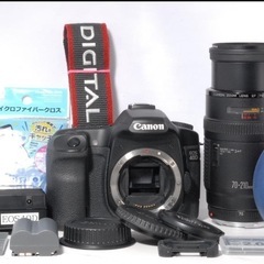 最終価格！Canon EOS 40D + EF 70-210mm ！美品 キャノン レンズセットの画像