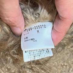 ファーコートの画像