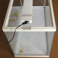 中古 アクアリウム用品【ＧＥＸ ６０ｃｍ水槽 ＋ ガラス蓋 ＋ ＬＥＤ】約５０Ｌの画像