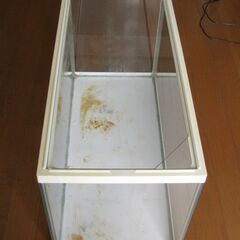 中古 アクアリウム用品【ＧＥＸ ６０ｃｍ水槽 ＋ ガラス蓋 ＋ ＬＥＤ】約５０Ｌの画像