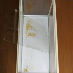 中古 アクアリウム用品【ＧＥＸ ６０ｃｍ水槽 ＋ ガラス蓋 ＋ ＬＥＤ】約５０Ｌの画像