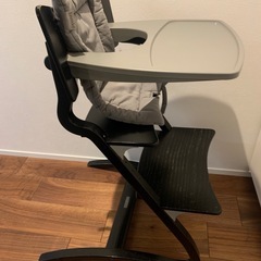 リエンダー
の画像