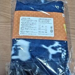 あったか　ポケモン　ブランケット　ブルーの画像