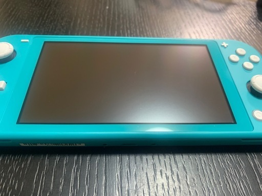 ソフト、充電ケーブル追加　任天堂　Switch ライト　まあまあキレイ