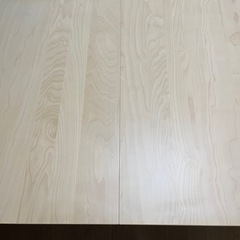 【IKEA】BJURSTA ビュースタの画像