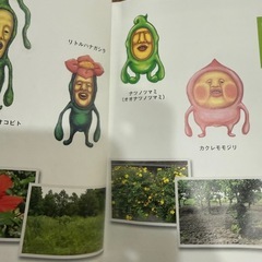 こびと図鑑　大百科の画像